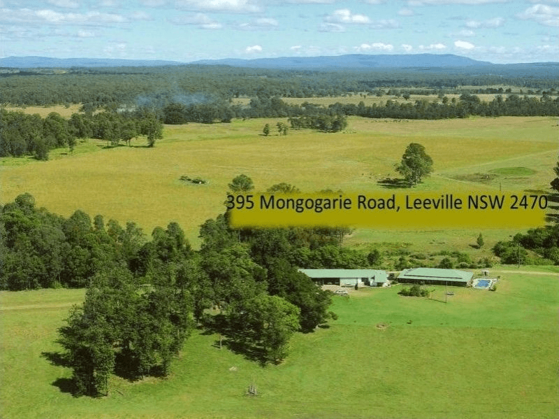 395 Mongogarie Road, Leeville, NSW 2470