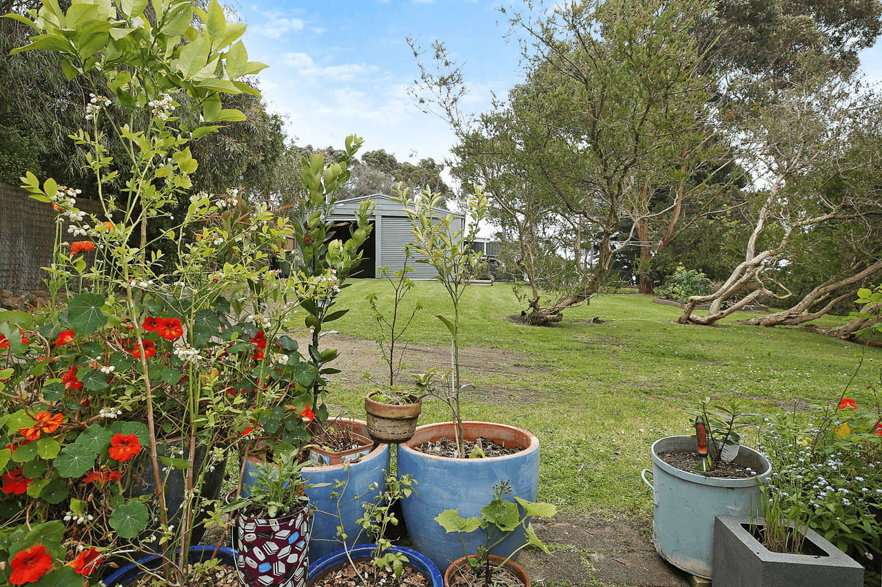 23 Leahys Lane, TIMBOON, VIC 3268