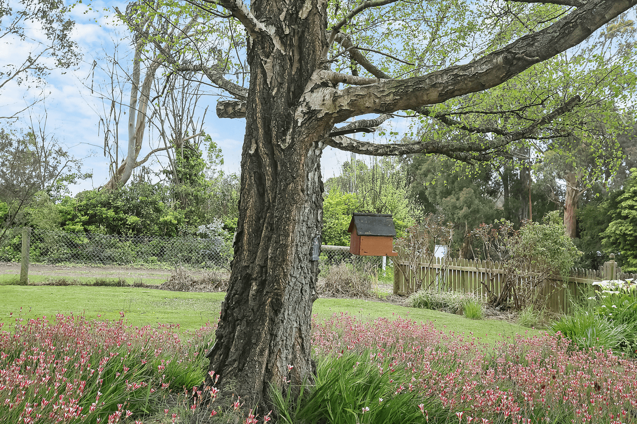 23 Leahys Lane, TIMBOON, VIC 3268