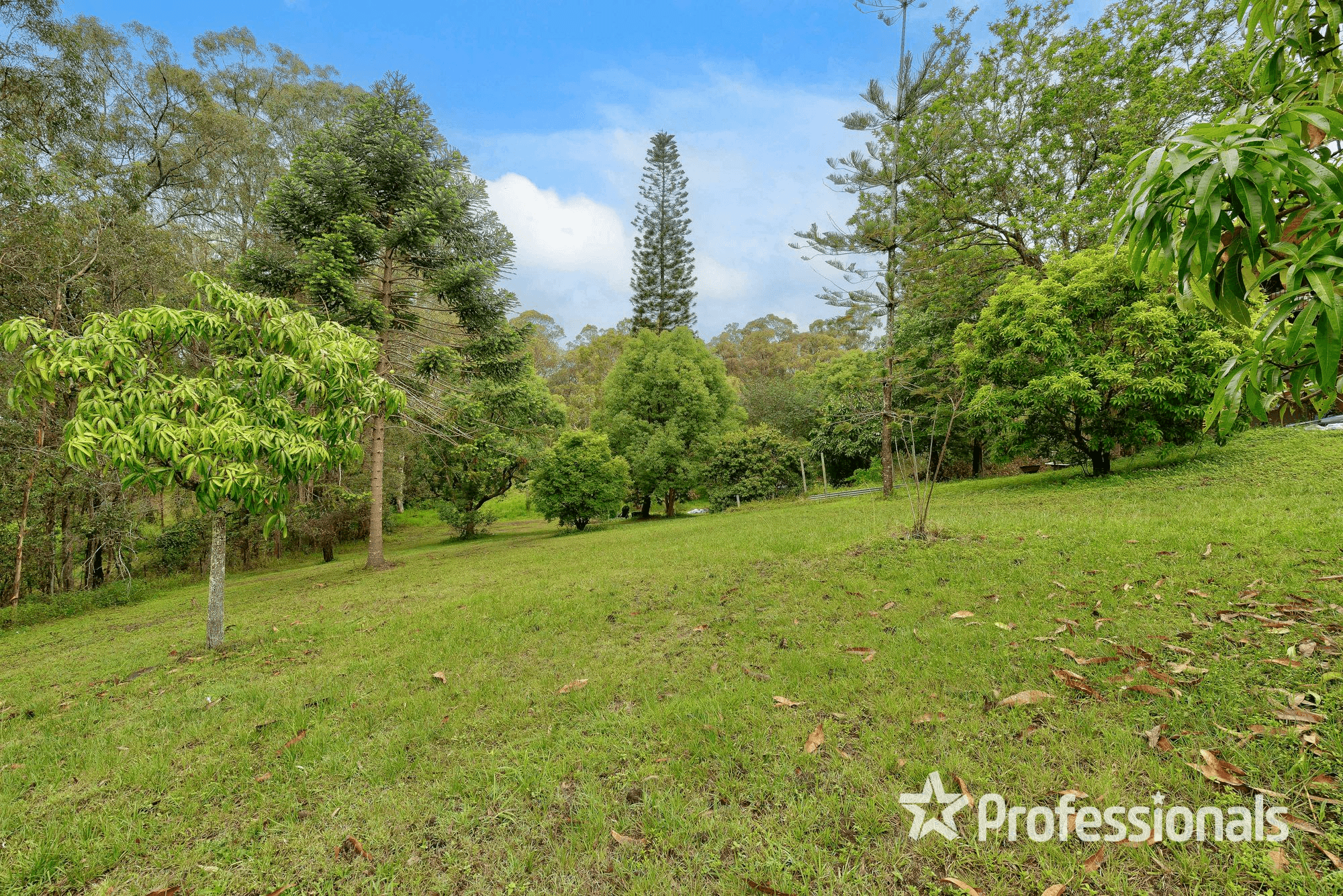 85 Timms Road, EVERTON HILLS, QLD 4053