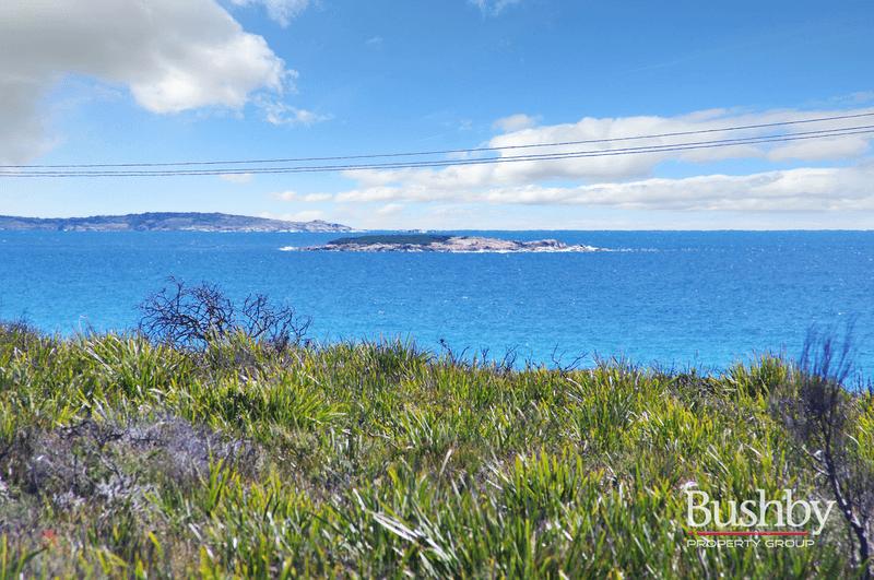 1778 Tasman Highway, BEAUMARIS, TAS 7215