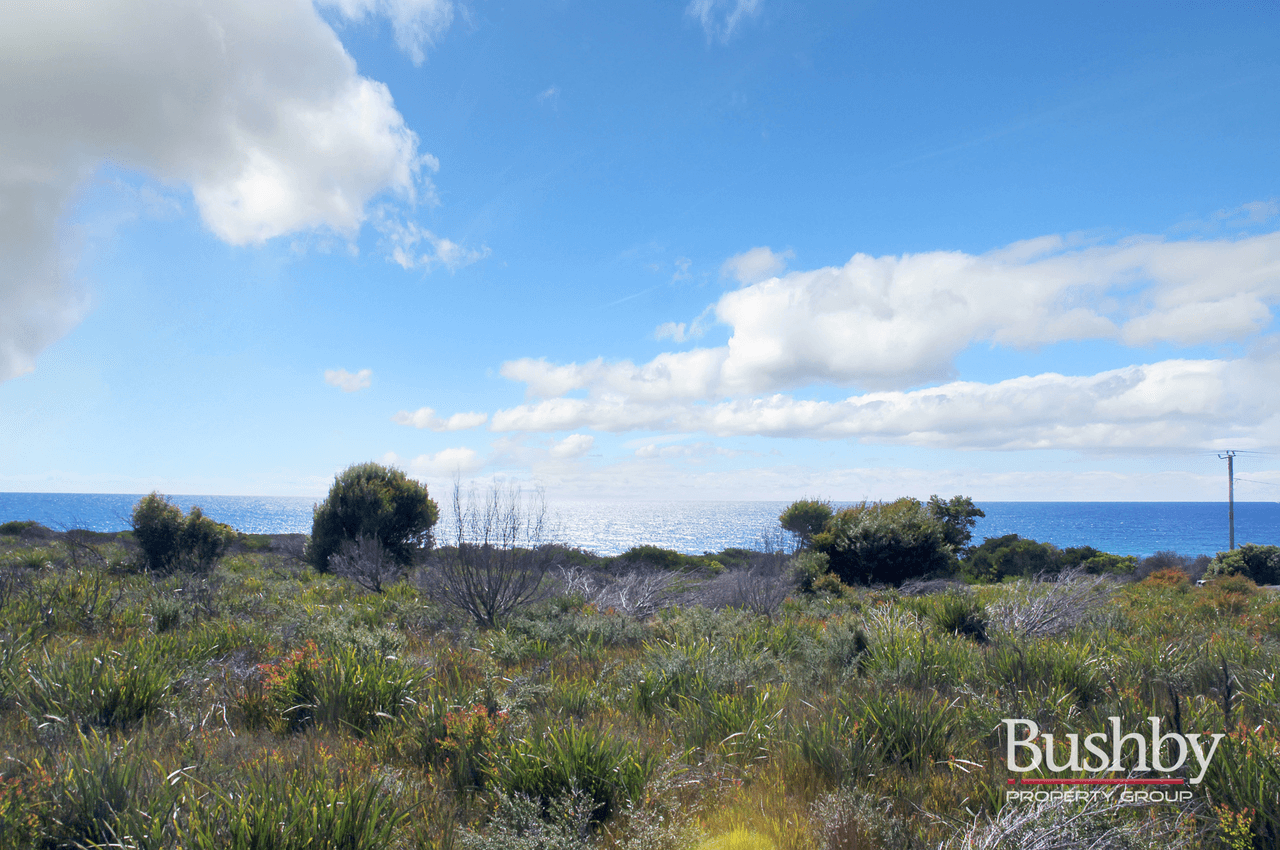 1778 Tasman Highway, BEAUMARIS, TAS 7215