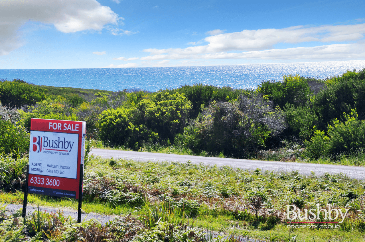 1778 Tasman Highway, BEAUMARIS, TAS 7215