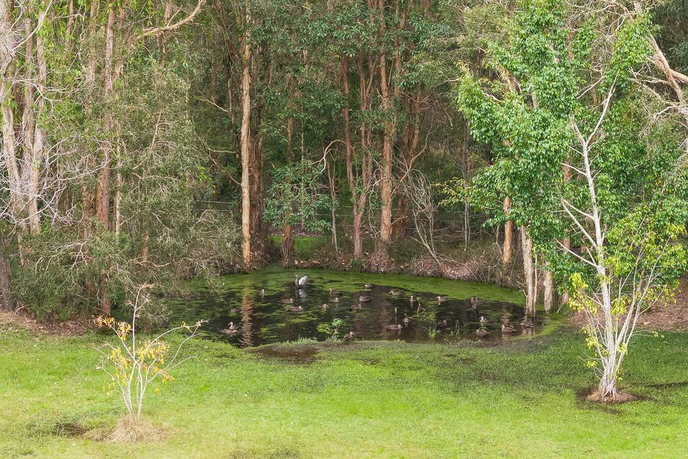 77 Glenridge Drive, COOROIBAH, QLD 4565