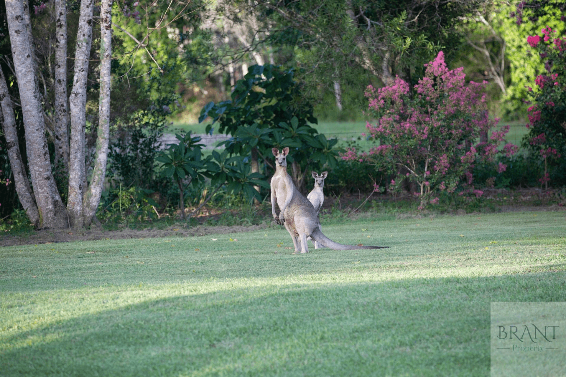 45 Harold Place, Peachester, QLD 4519