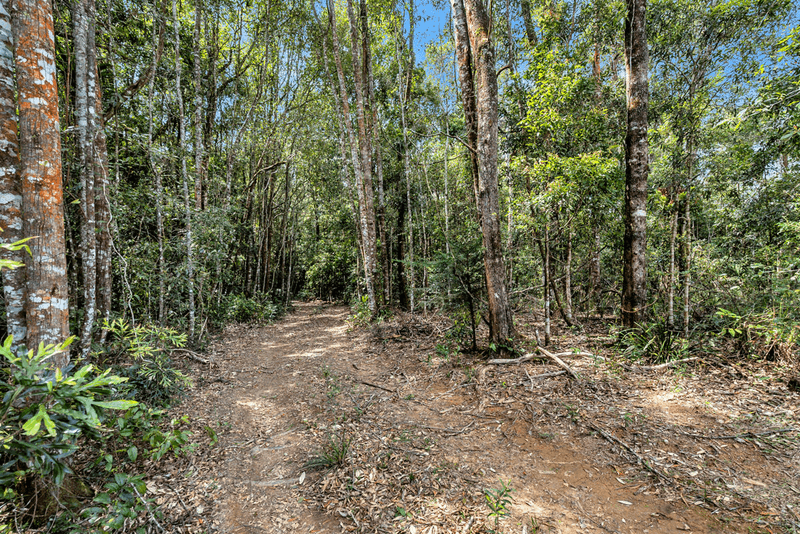 Lot 5 Lower Bobo Road, ULONG, NSW 2450