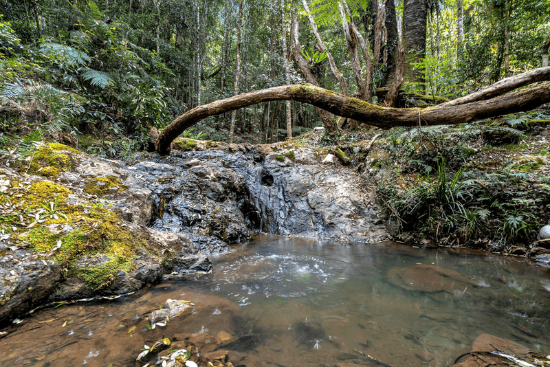 Lot 5 Lower Bobo Road, ULONG, NSW 2450