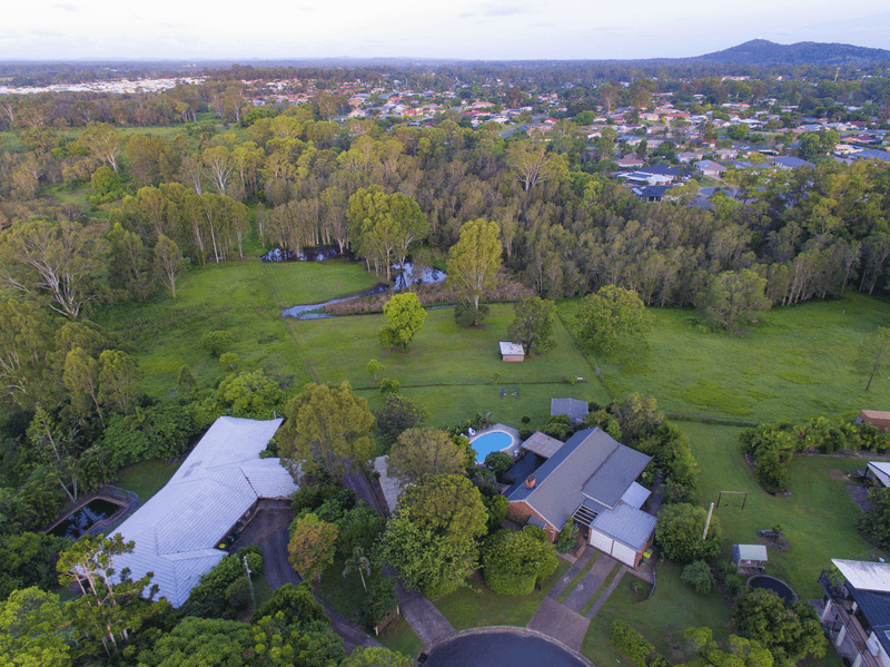 19 Curlew Cres, Eagleby, QLD 4207