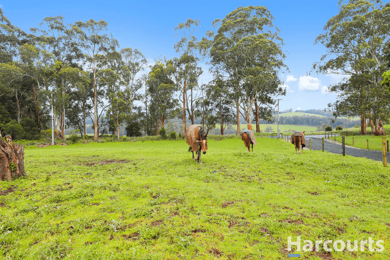 2675 Willow Grove Road, HILL END, VIC 3825