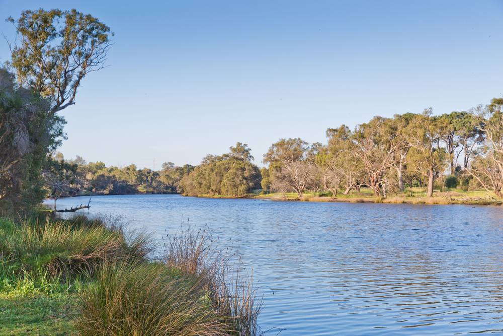3A Johnson Avenue, GUILDFORD, WA 6055