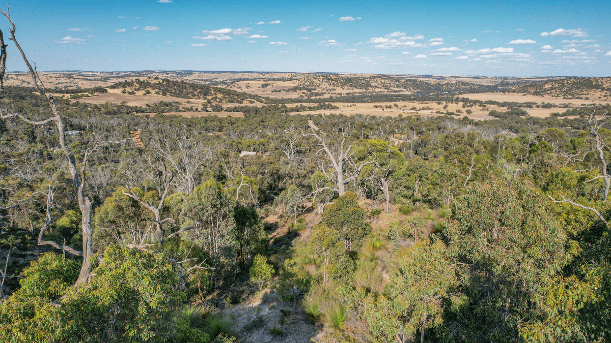 10 Sesselis Road, Toodyay, WA 6566