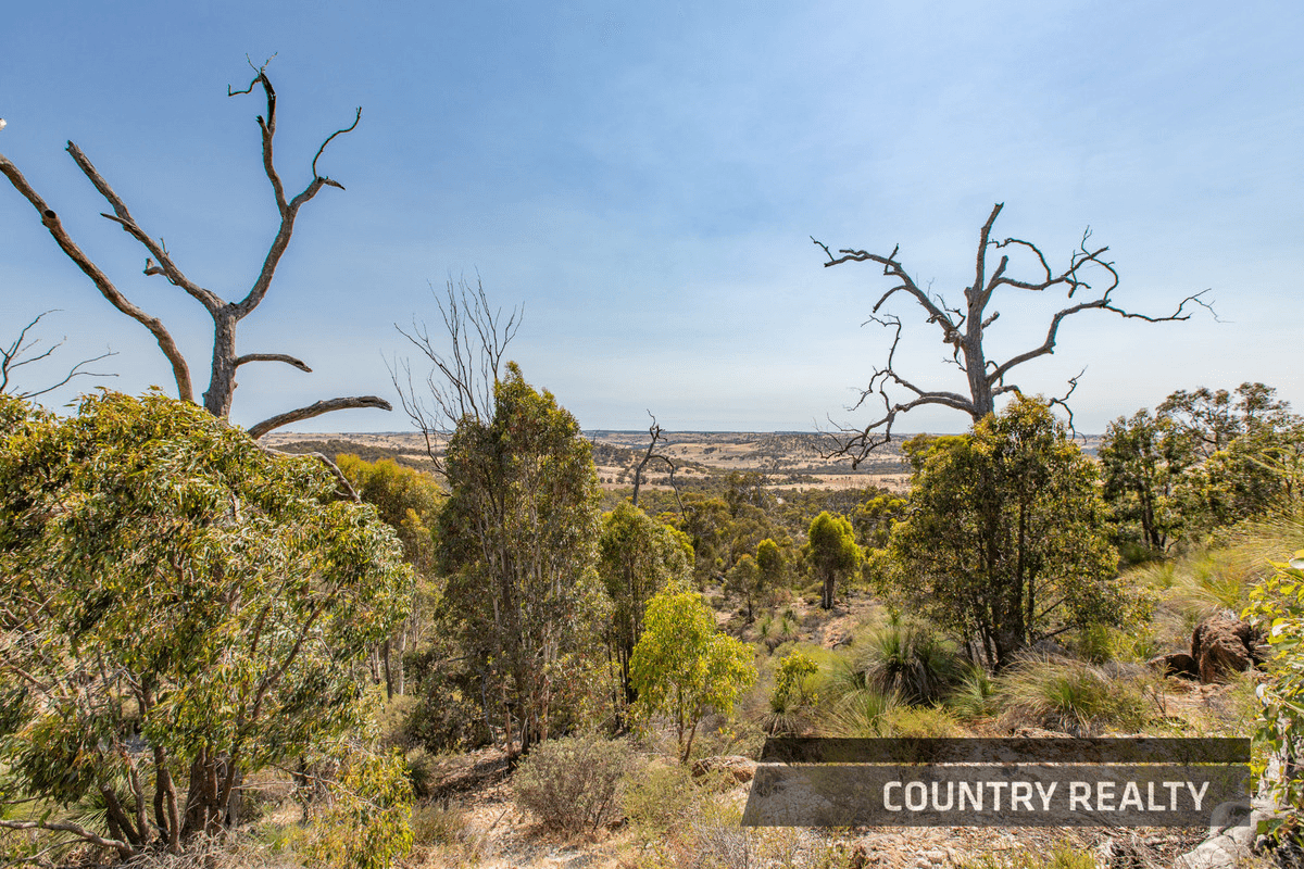 10 Sesselis Road, Toodyay, WA 6566