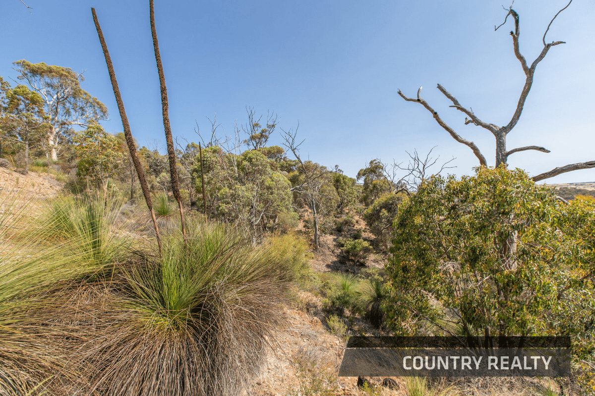 10 Sesselis Road, Toodyay, WA 6566