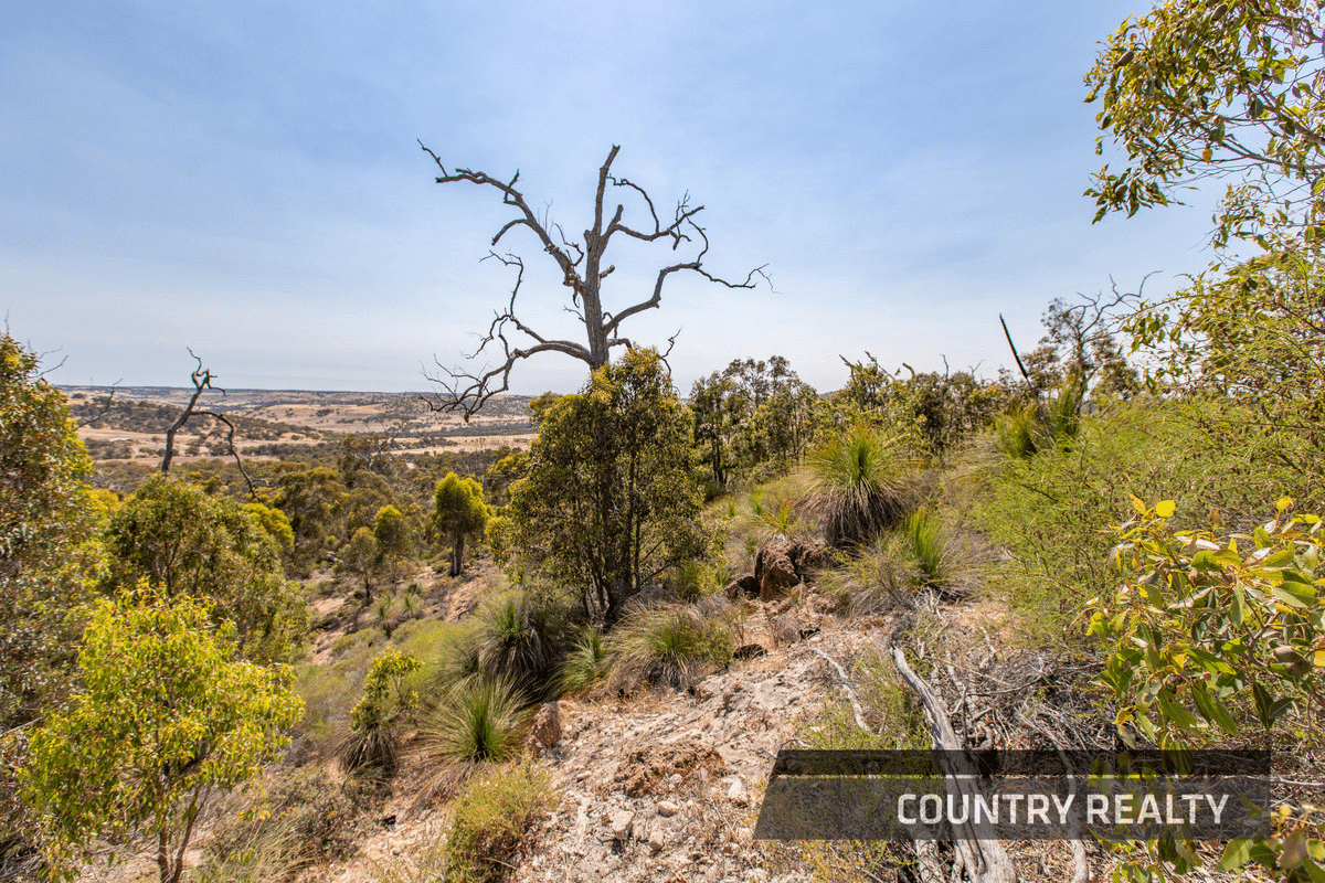 10 Sesselis Road, Toodyay, WA 6566