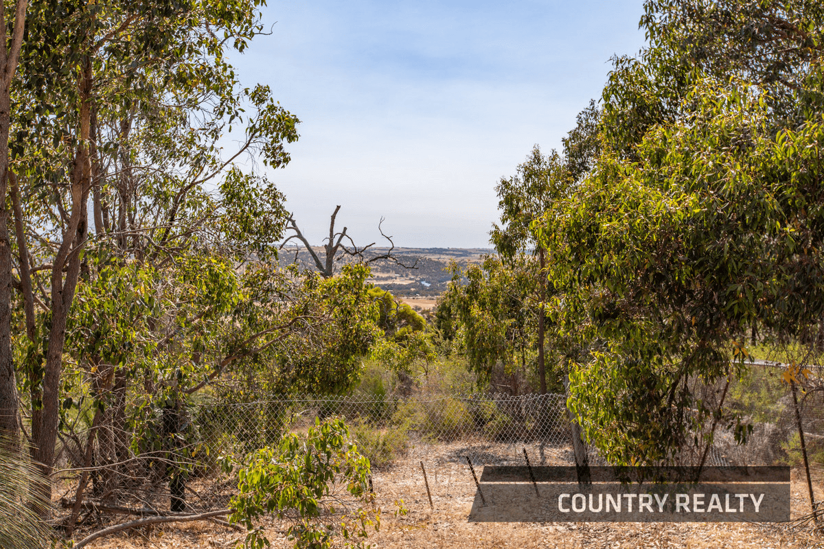 10 Sesselis Road, Toodyay, WA 6566