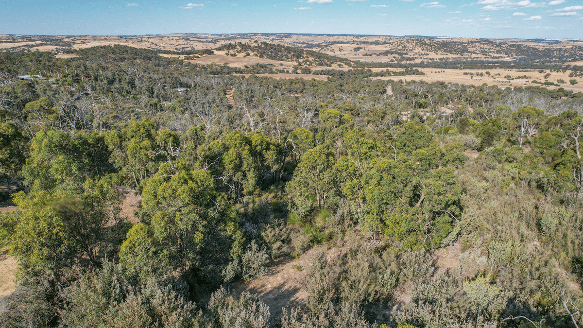 10 Sesselis Road, Toodyay, WA 6566