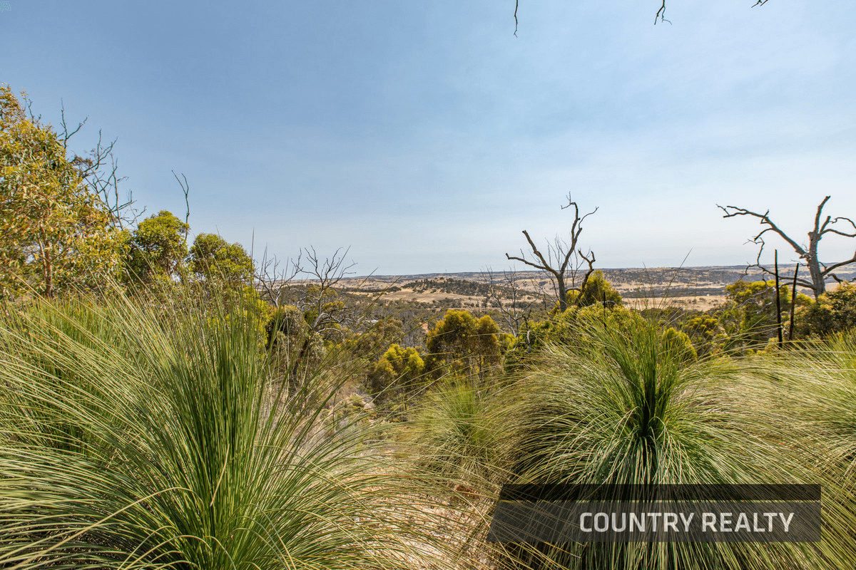 10 Sesselis Road, Toodyay, WA 6566