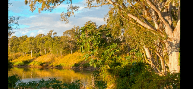 80 Landing Place, MOGGILL, QLD 4070