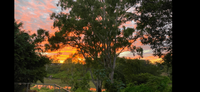 80 Landing Place, MOGGILL, QLD 4070