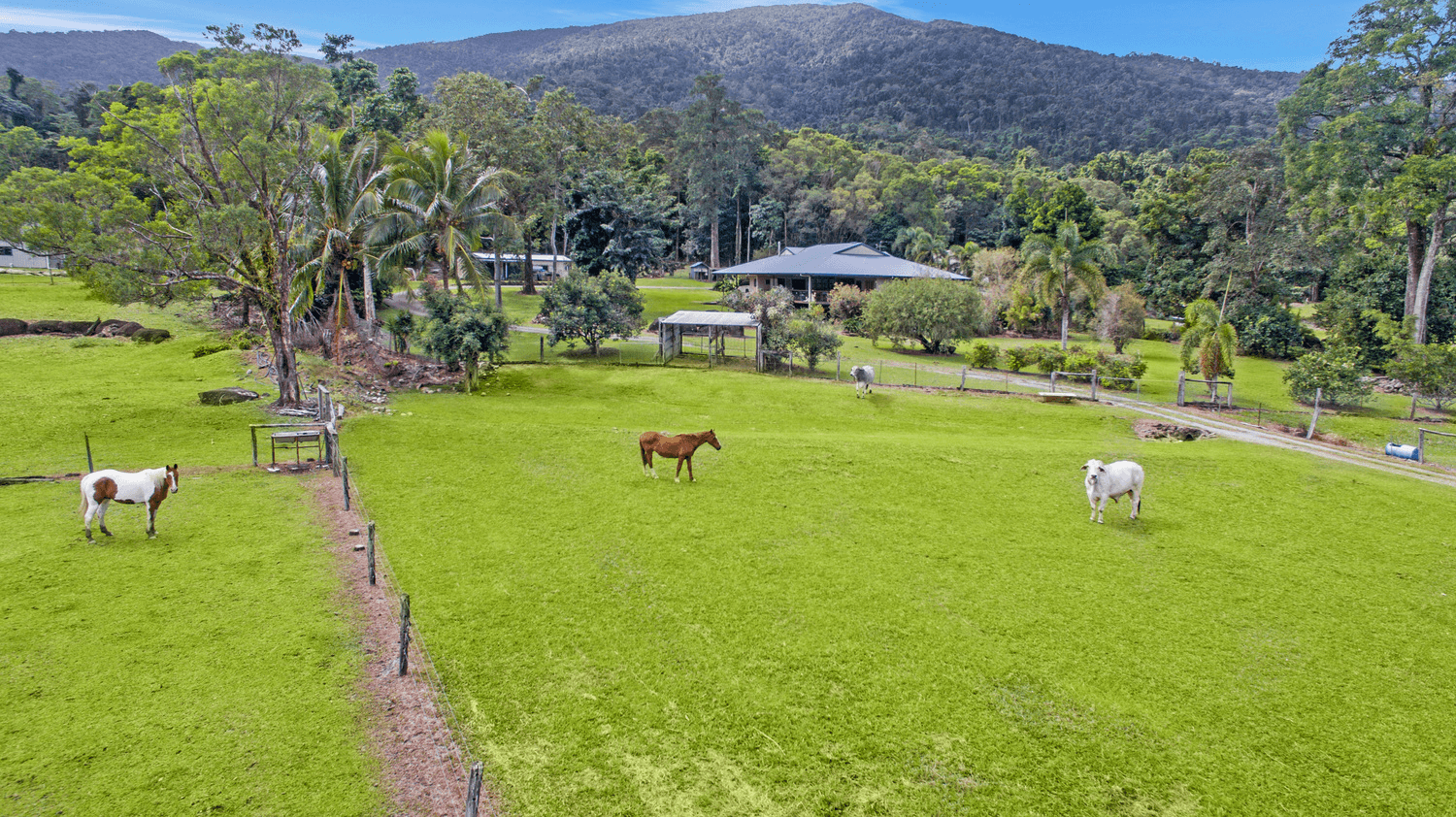 177 Barbagallo Road, Aloomba, QLD 4871