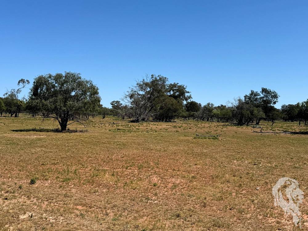 1503 Werah Creek Road, WEE WAA, NSW 2388