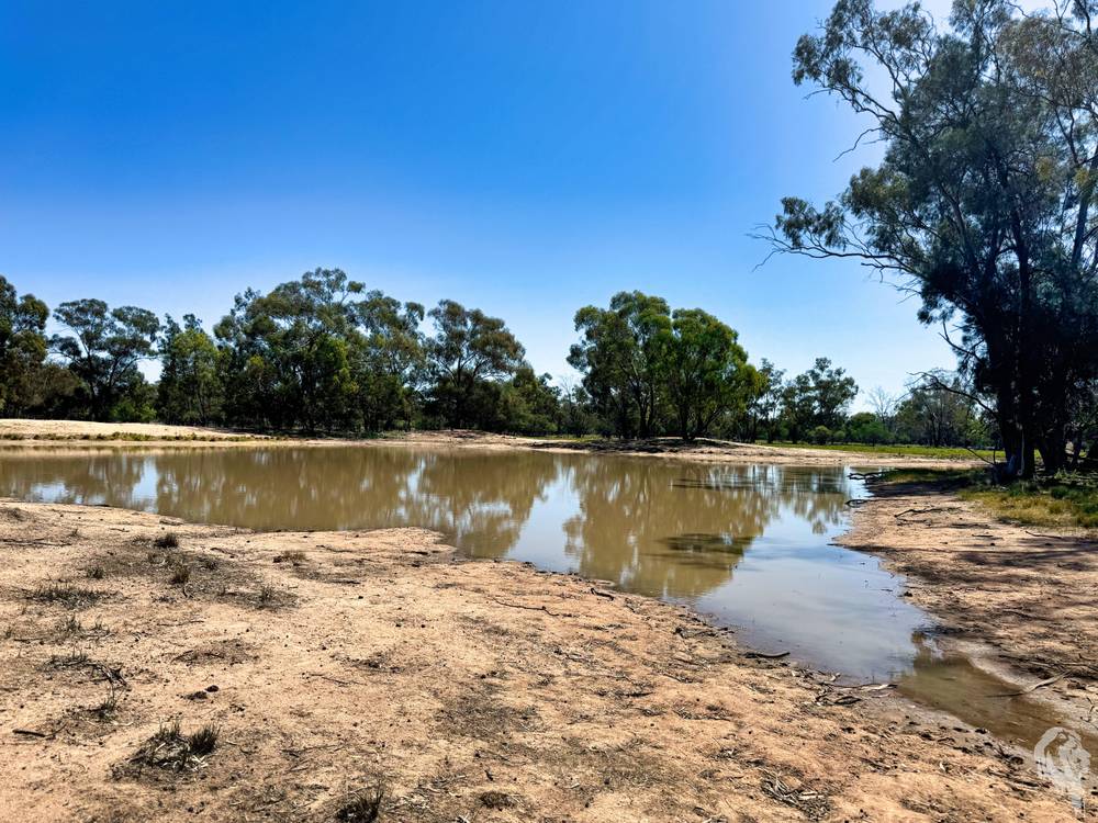 1503 Werah Creek Road, WEE WAA, NSW 2388
