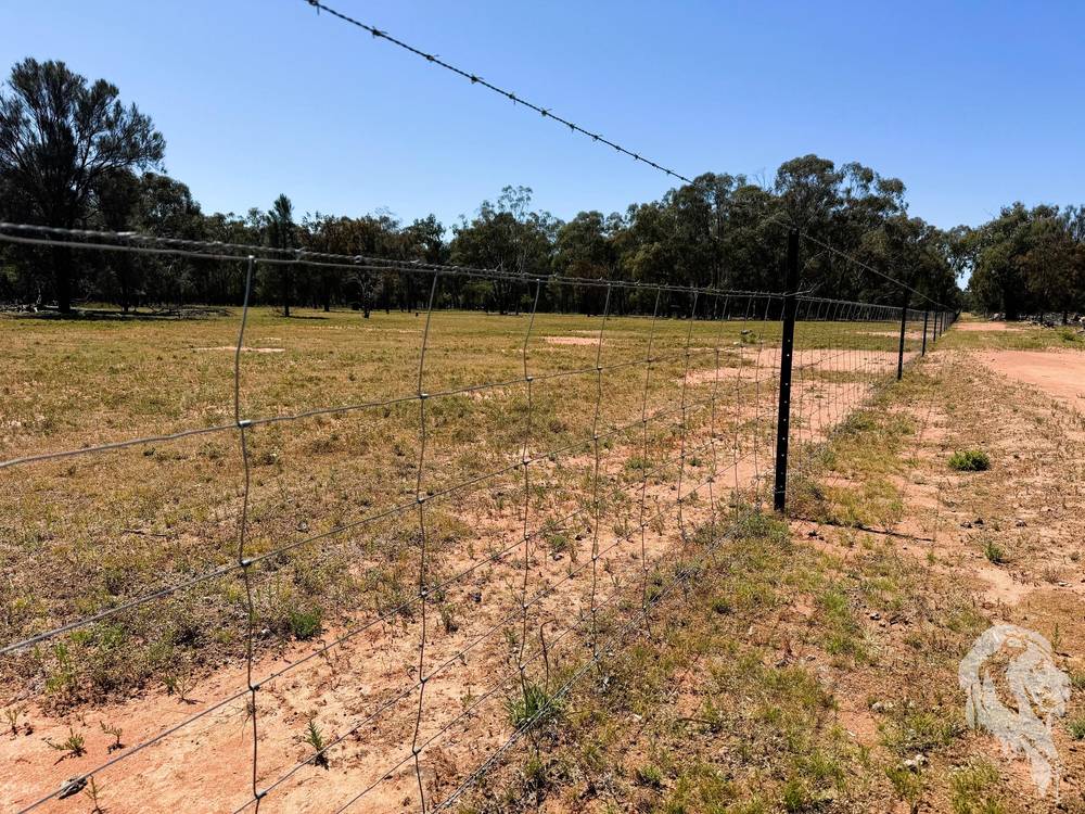 1503 Werah Creek Road, WEE WAA, NSW 2388