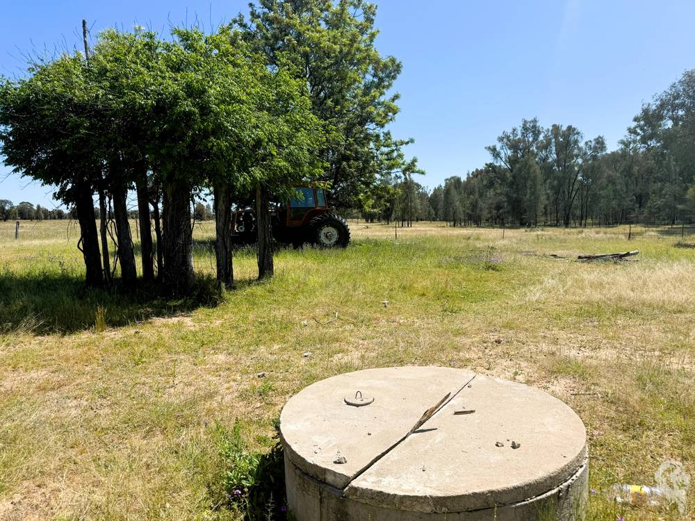 1503 Werah Creek Road, WEE WAA, NSW 2388