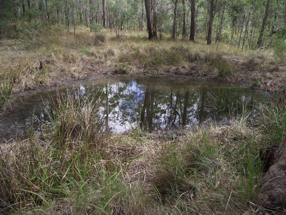 Stegemann Road, UPPER GLASTONBURY, QLD 4570