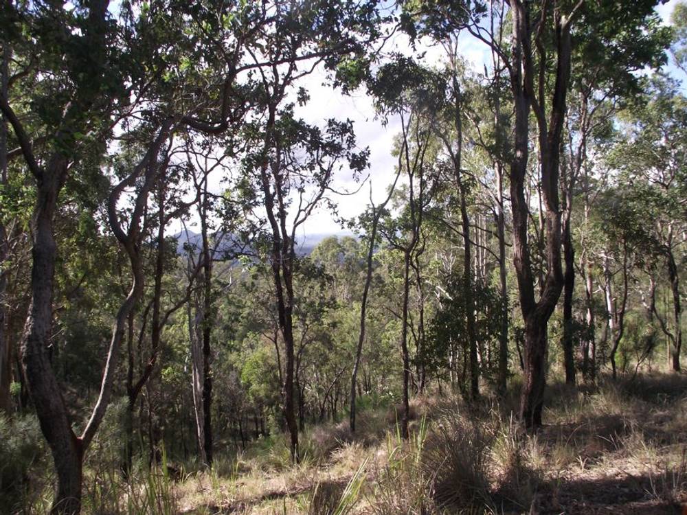 Stegemann Road, UPPER GLASTONBURY, QLD 4570