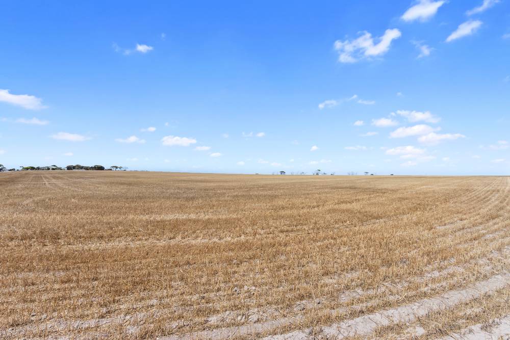 Lot 5 Port Vincent Road, PORT VINCENT, SA 5581