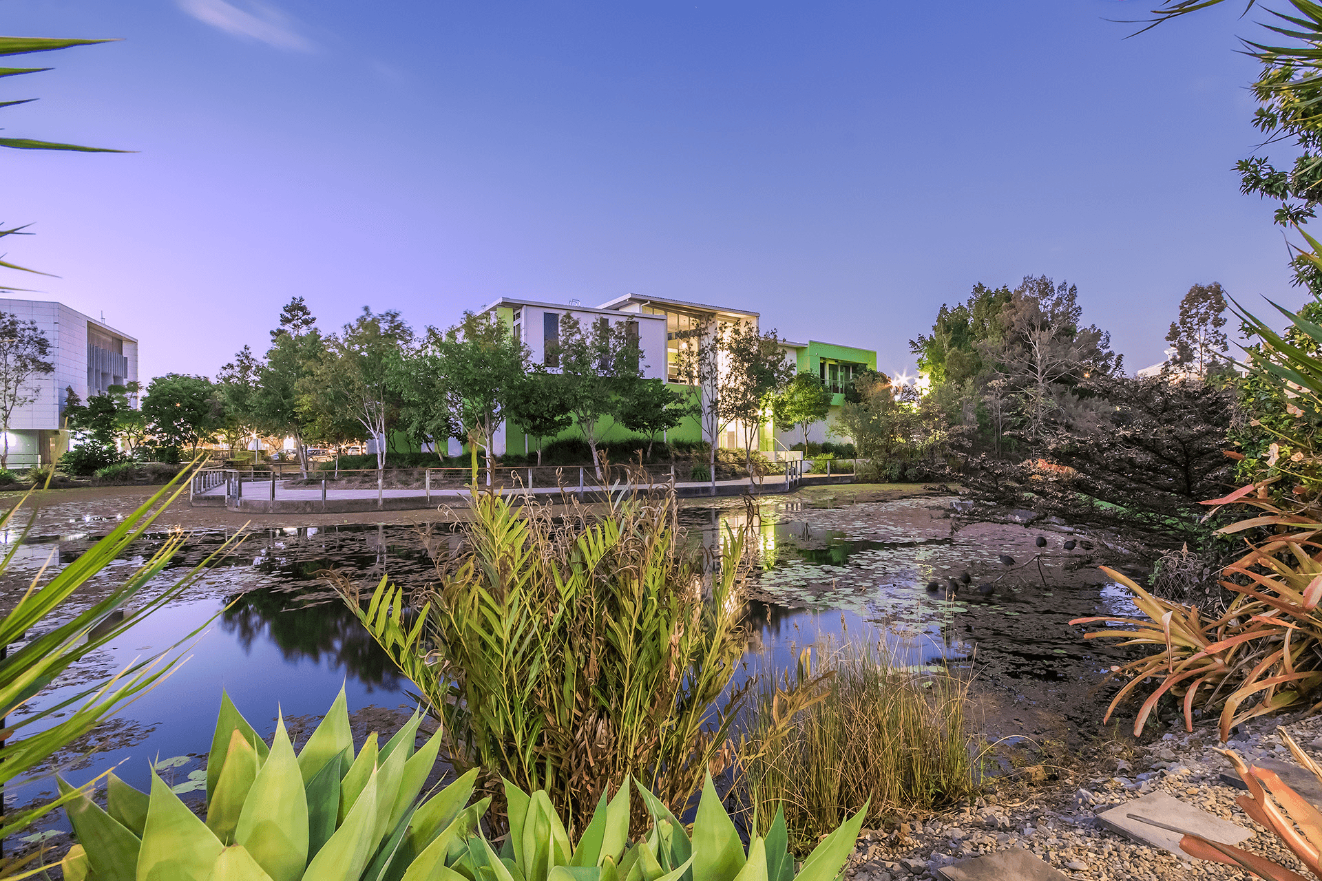 24 Riverwalk Avenue, Robina, QLD 4226