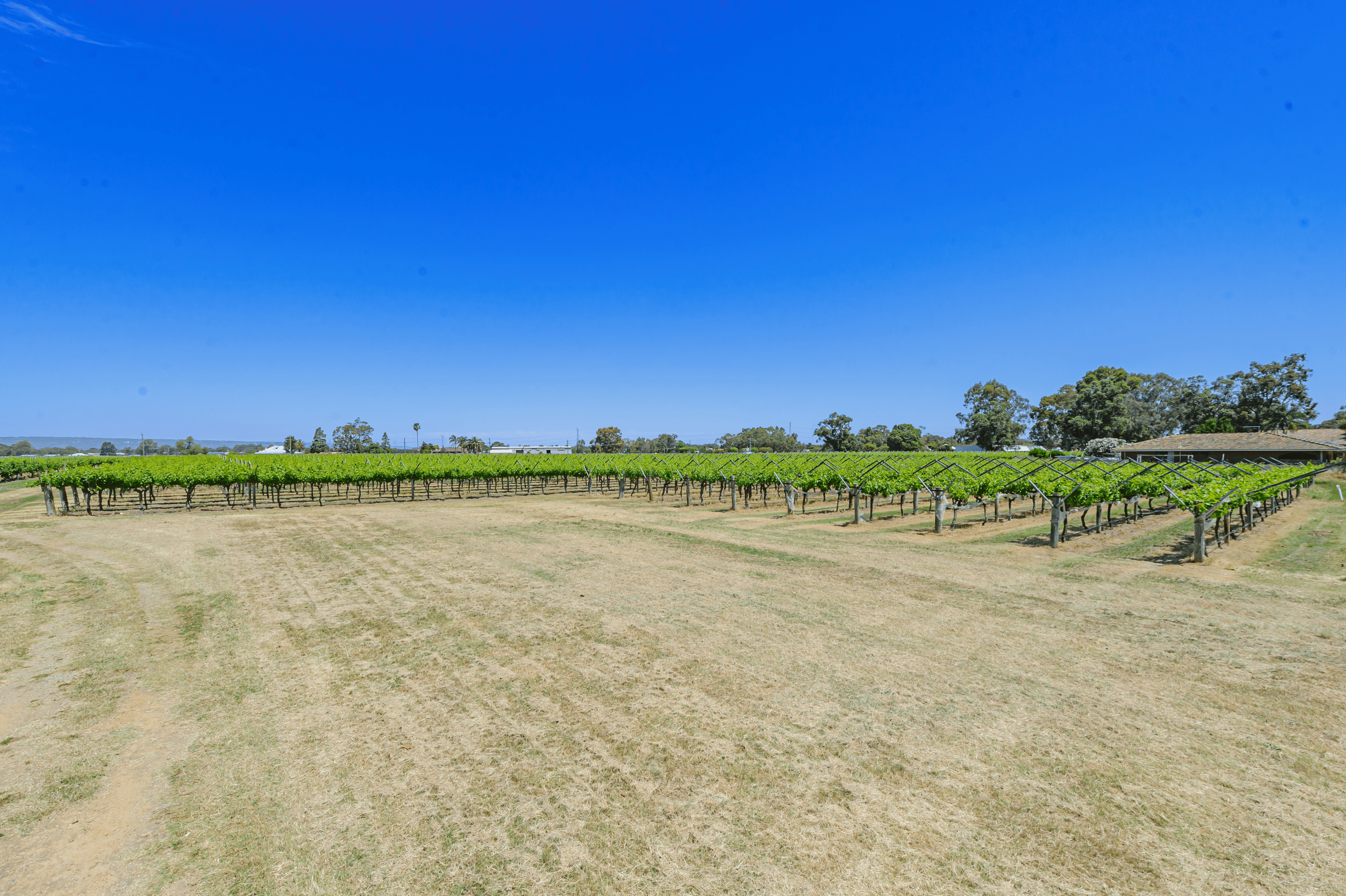 2450 West Swan Road, Caversham, WA 6055