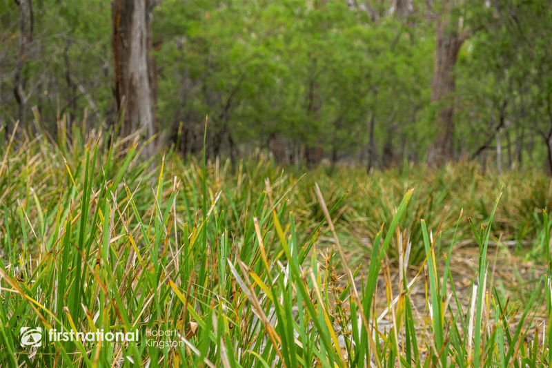 Lot 1 Bruny Island Main Road, NORTH BRUNY, TAS 7150