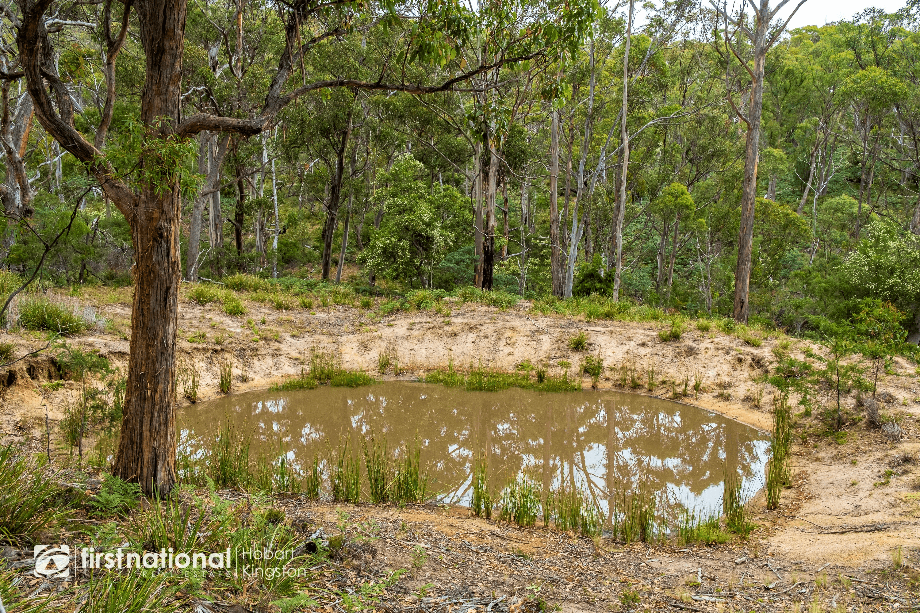 Lot 1 Bruny Island Main Road, NORTH BRUNY, TAS 7150