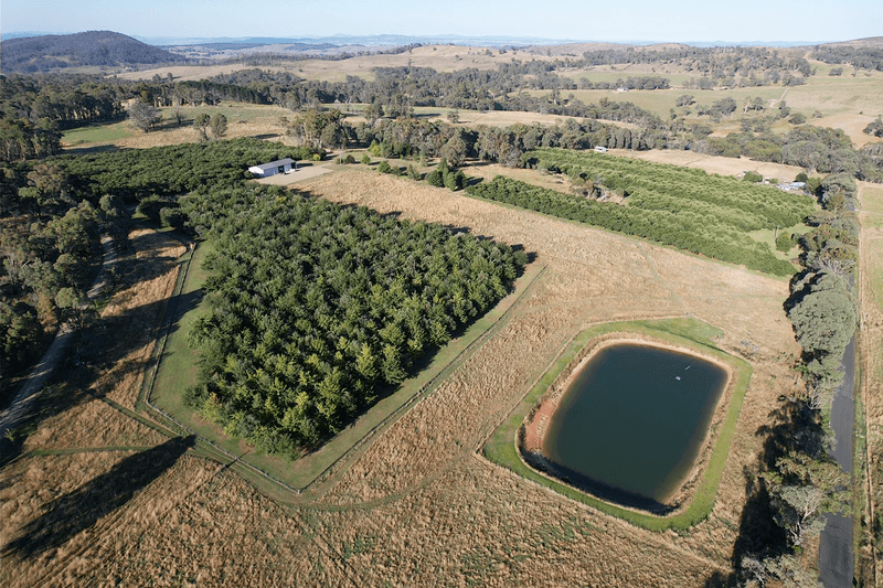 Mortat Willigobung Road, TUMBARUMBA, NSW 2653