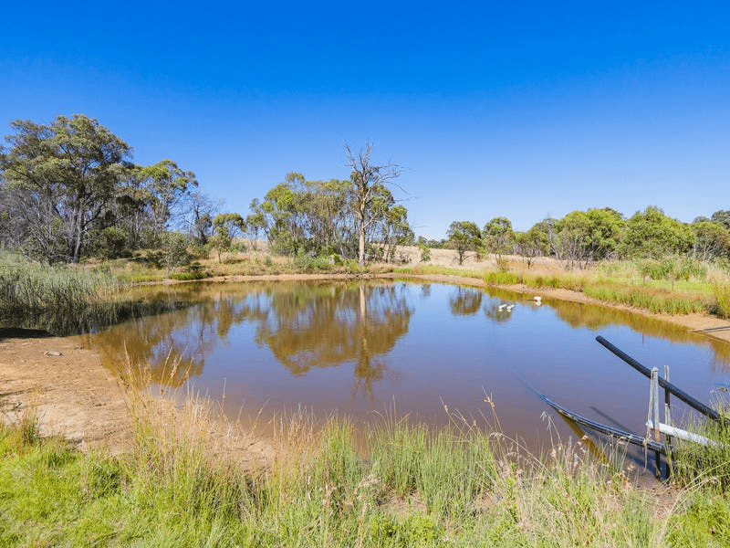 Mortat Willigobung Road, TUMBARUMBA, NSW 2653