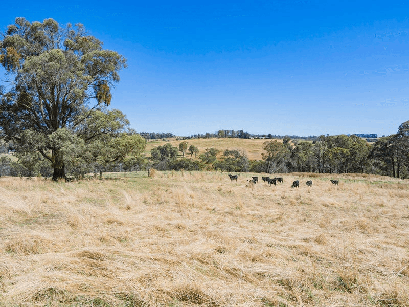 Mortat Willigobung Road, TUMBARUMBA, NSW 2653