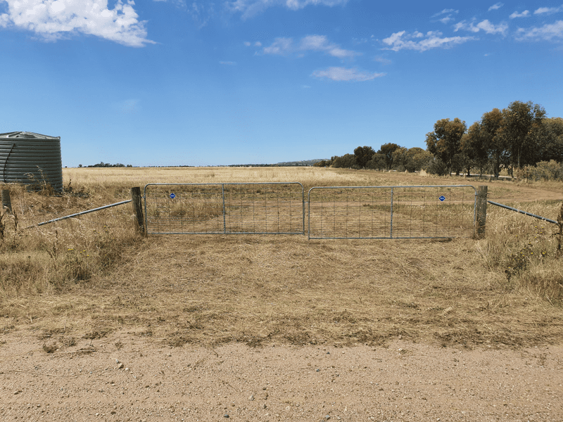 JUNGABURRA ROAD, TERRICK TERRICK, VIC 3575