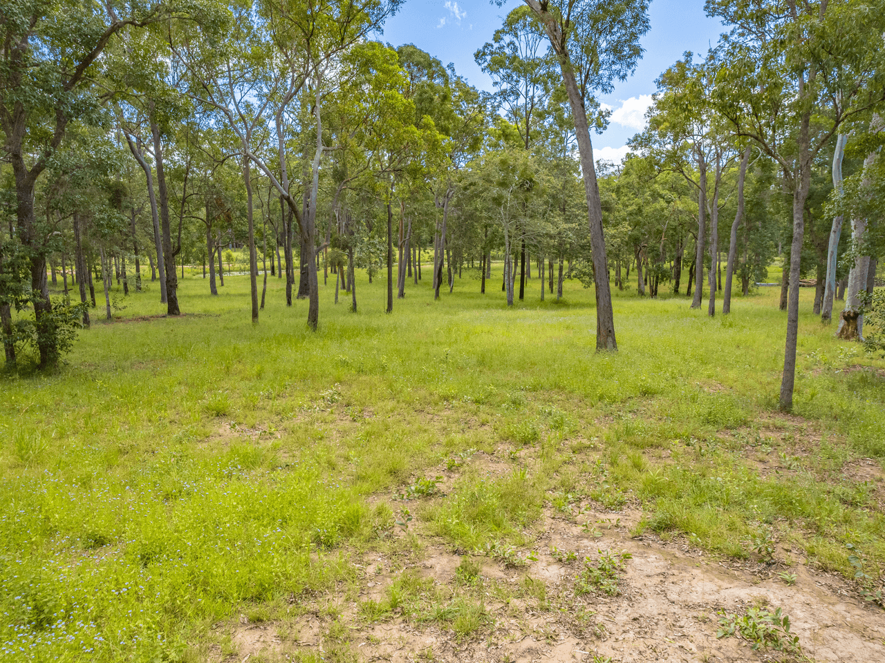 0 Mahogany Road, TALEGALLA WEIR, QLD 4650