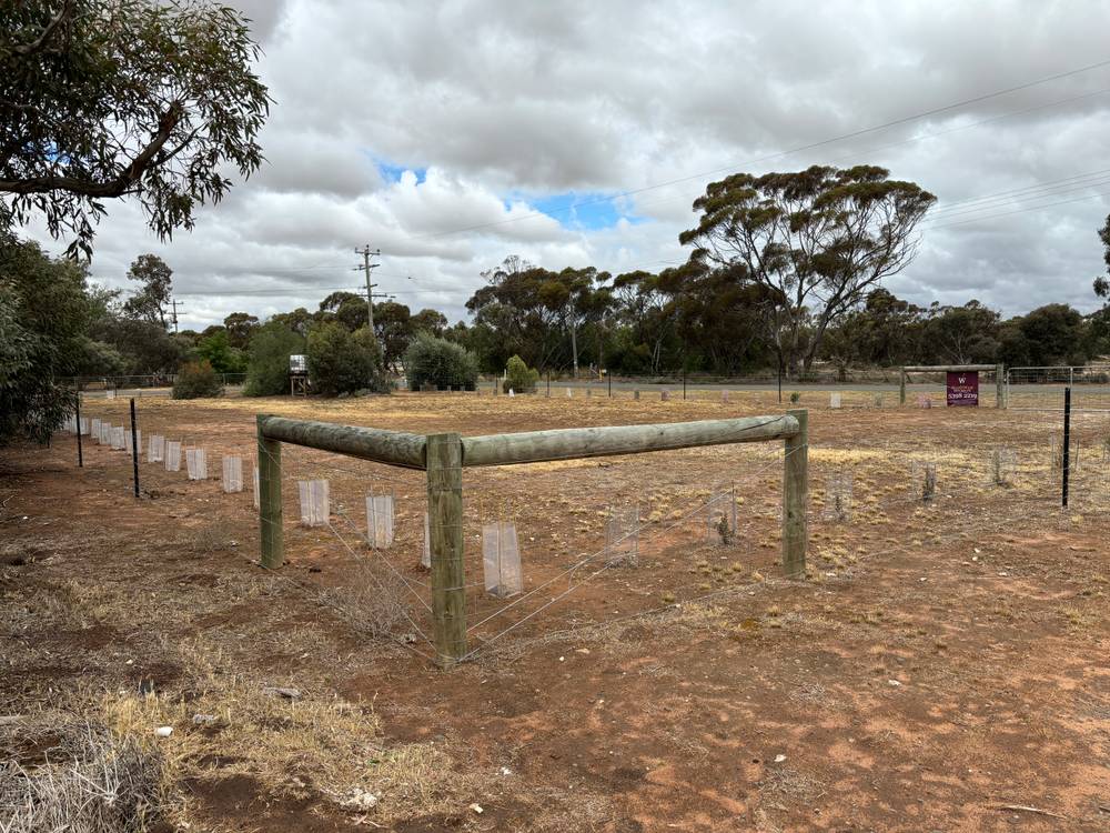 36 Alexander Avenue, BERRIWILLOCK, VIC 3531