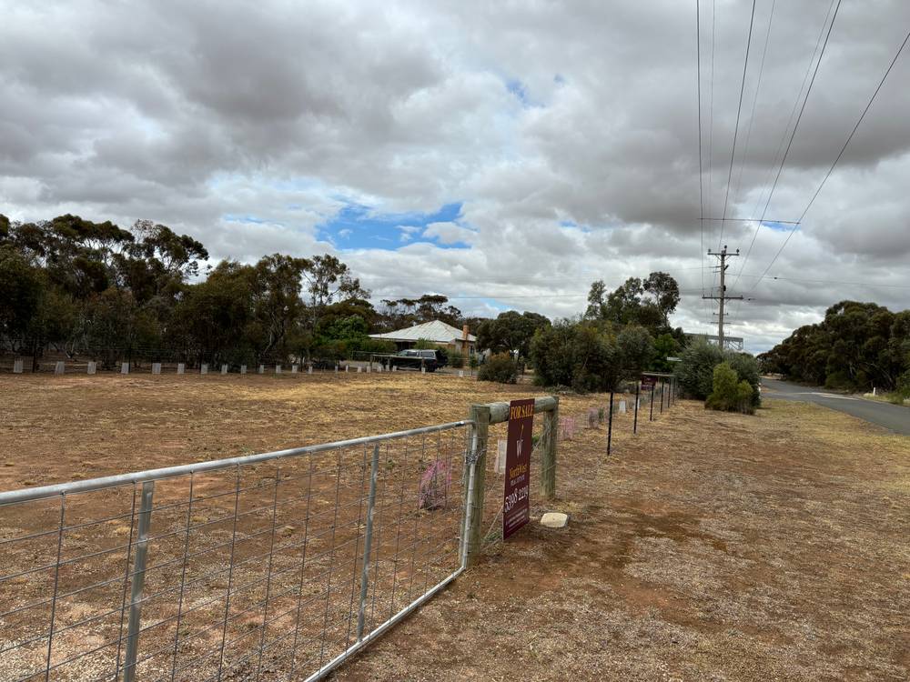 36 Alexander Avenue, BERRIWILLOCK, VIC 3531