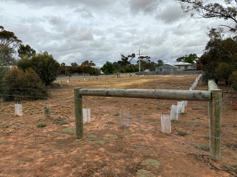 36 Alexander Avenue, BERRIWILLOCK, VIC 3531