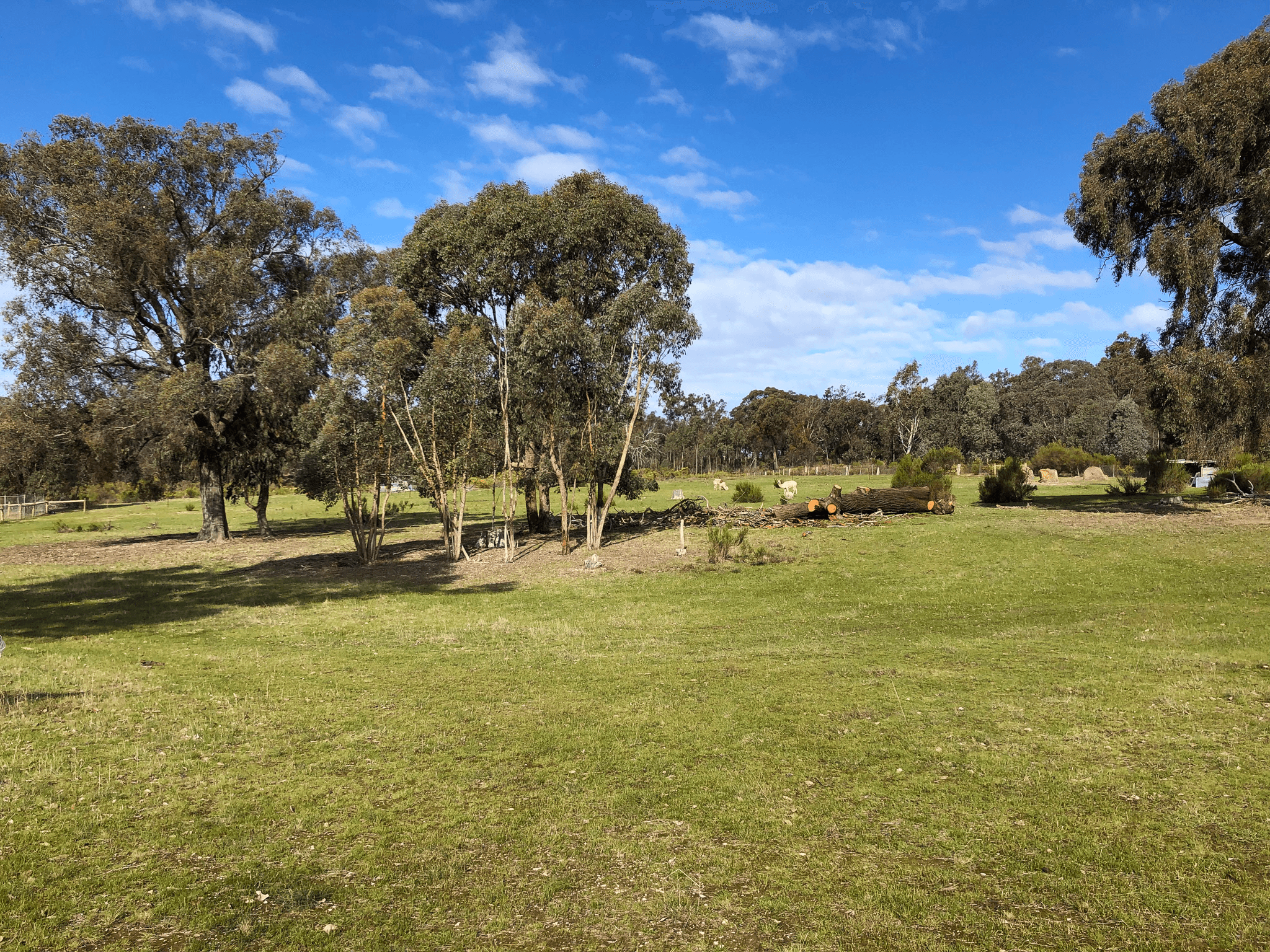 96 Turpins Road, PERCYDALE, VIC 3478