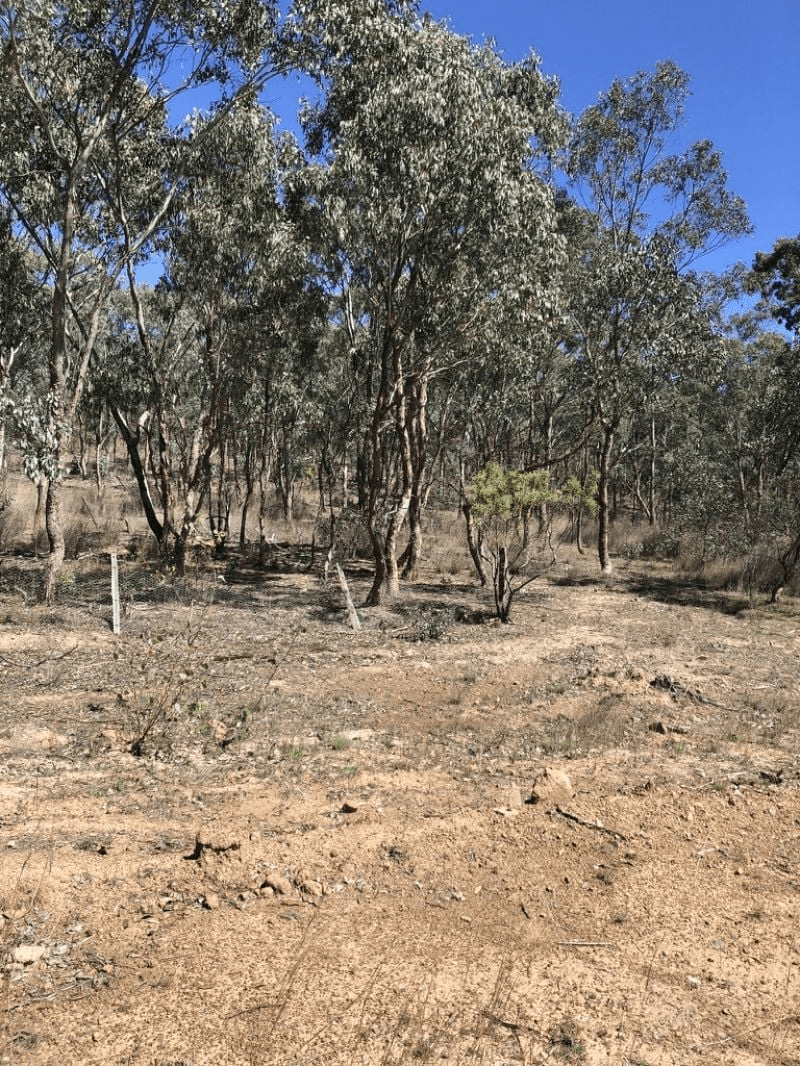 943 Gulf Road, Emmaville, NSW 2371