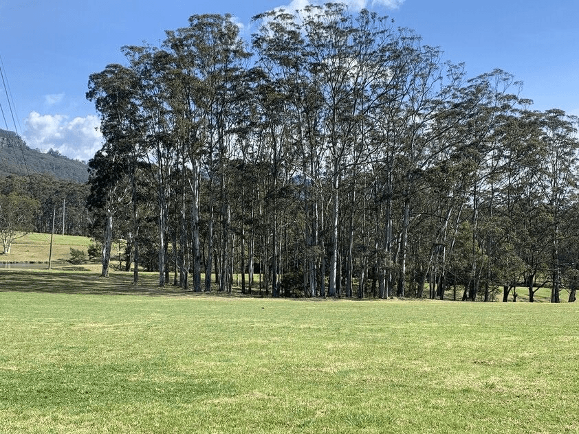321 Mount Scanzi Road, Kangaroo Valley, NSW 2577