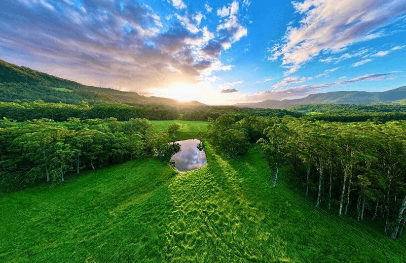 321 Mount Scanzi Road, Kangaroo Valley, NSW 2577