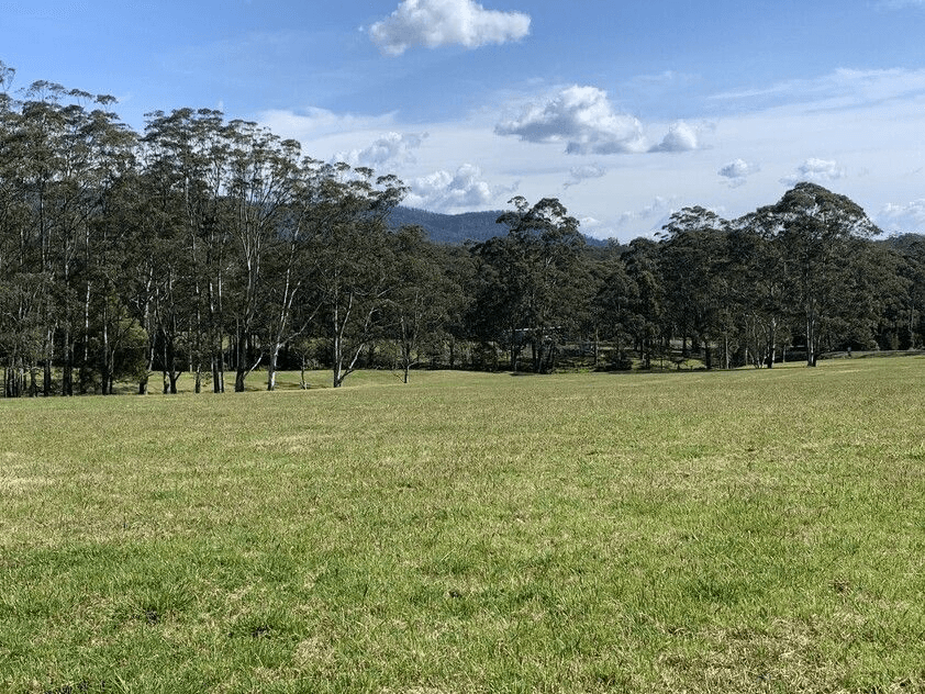 321 Mount Scanzi Road, Kangaroo Valley, NSW 2577