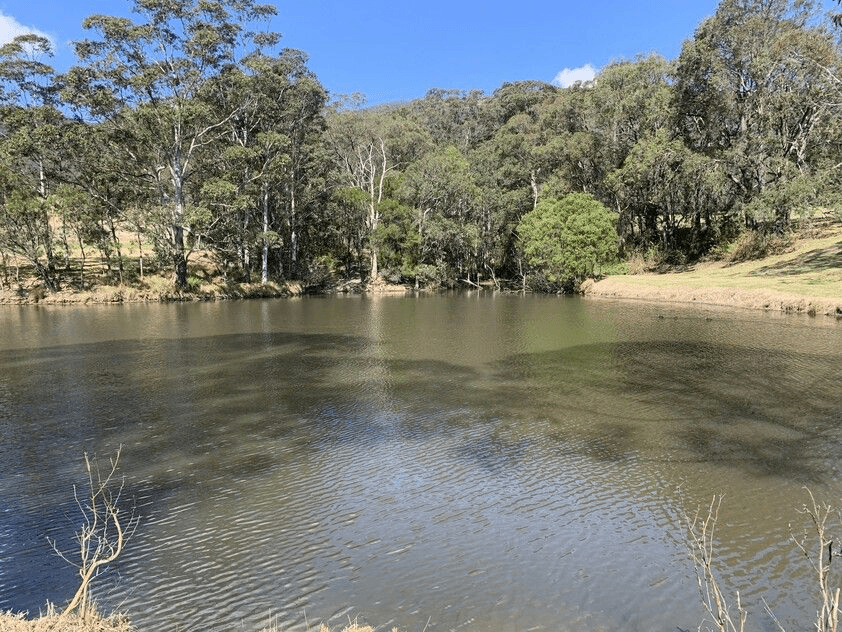321 Mount Scanzi Road, Kangaroo Valley, NSW 2577