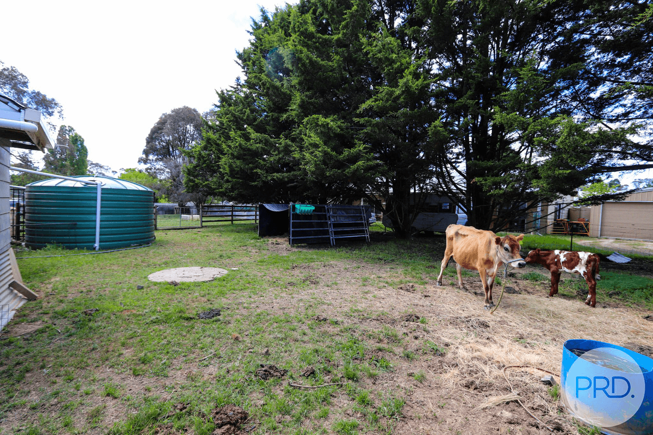 34 CARABOST Street, ROSEWOOD, NSW 2652